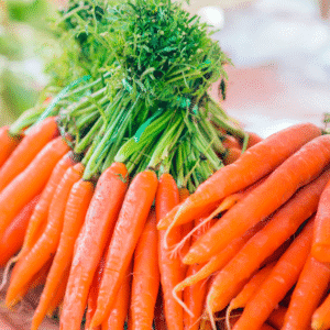 Fresh Carrots