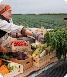 Why Cold Chain Logistics Matters for Fresh Product