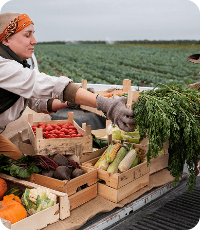 Why Cold Chain Logistics Matters for Fresh Product