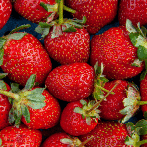 Fresh Strawberry