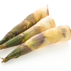 Bamboo Shoots